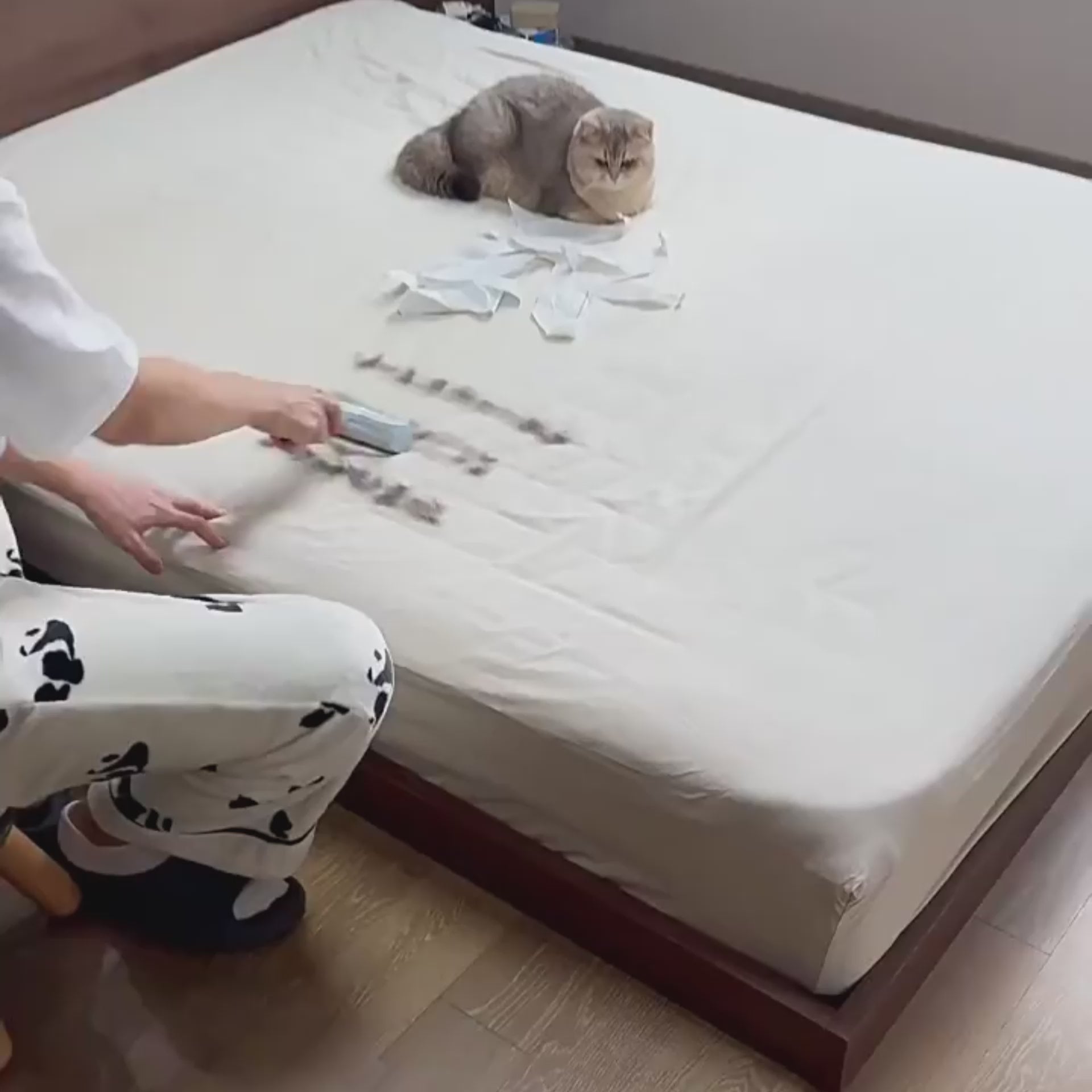Pet Hair Removal Glove