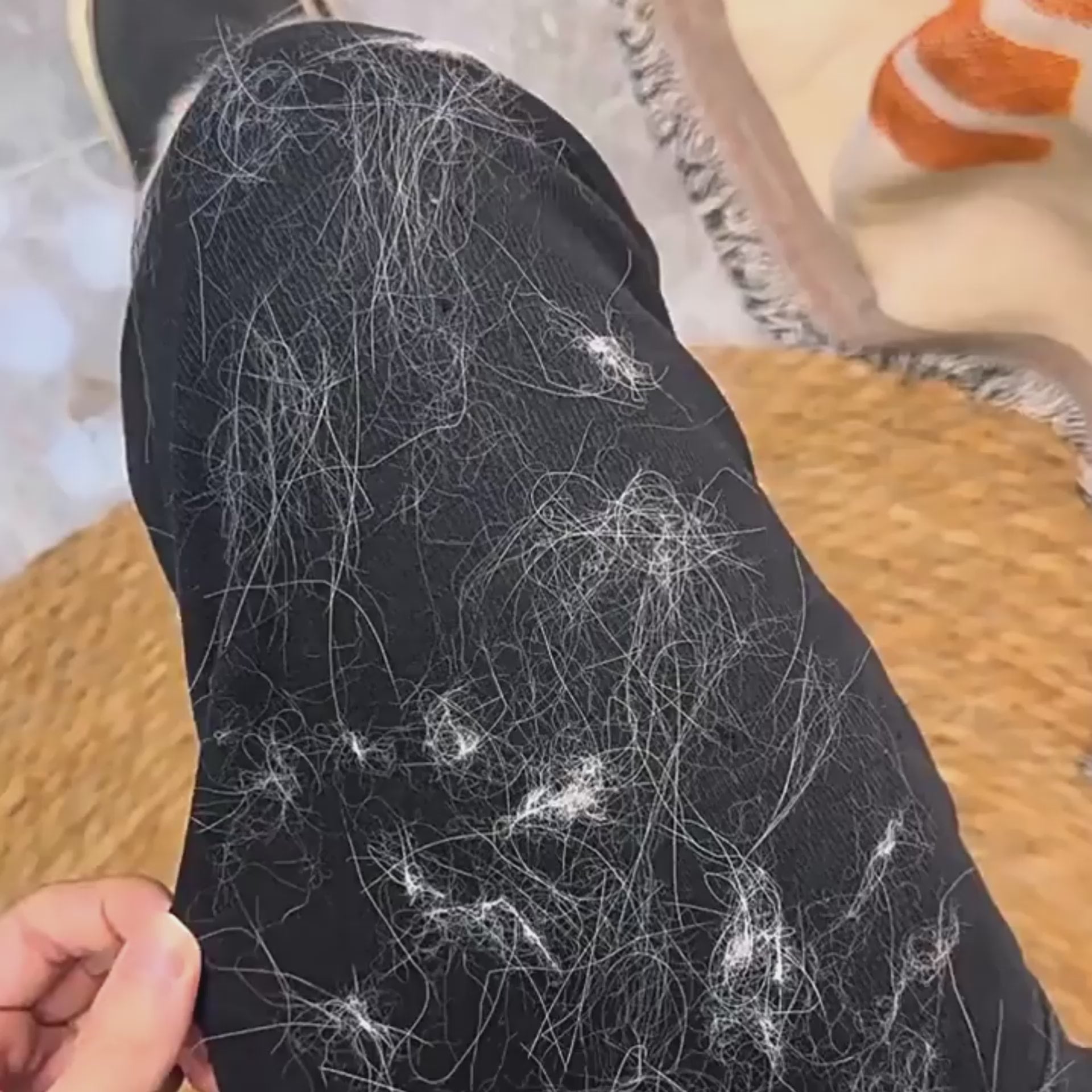 Pet Hair Removal Glove